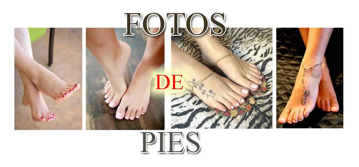 Integrar Canadá norte Cómo empezar a vender fotos de mis pies? - Haras Dadinco