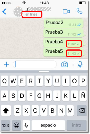 ▷ Cómo estar en línea en WhatsApp sin que te vean