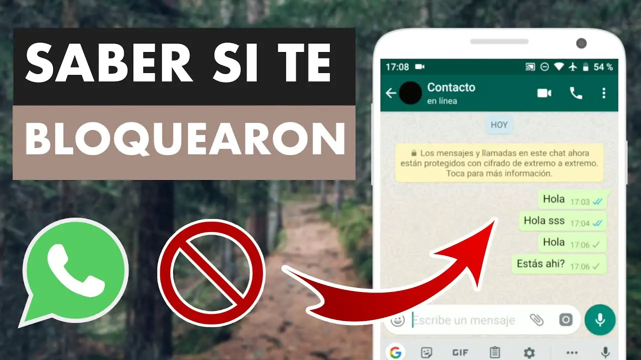 ¿Qué puedo hacer si una persona me bloquea en WhatsApp?