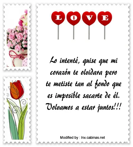 Qué le puedo decir a mi ex para volver? - Haras Dadinco Qué le puedo decir a mi ex para volver? - Haras Dadinco
