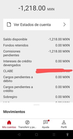 Qué pasa si tengo saldo negativo en mi tarjeta de débito HSBC? - Haras  Dadinco