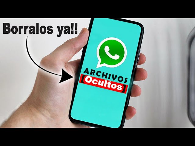 metálico marxismo Cha Cómo eliminar archivos ocultos de WhatsApp? - Haras Dadinco