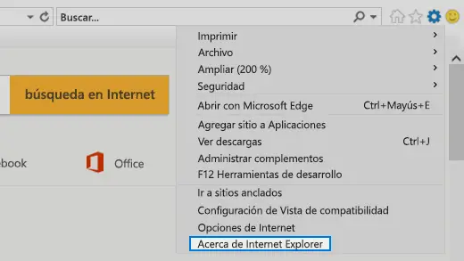 puedo saber si instalado Internet Explorer? - Haras