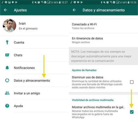 Cómo se pasan las fotos de WhatsApp a la galería? - Haras Dadinco Cómo se pasan las fotos de WhatsApp a la galería? - Haras Dadinco