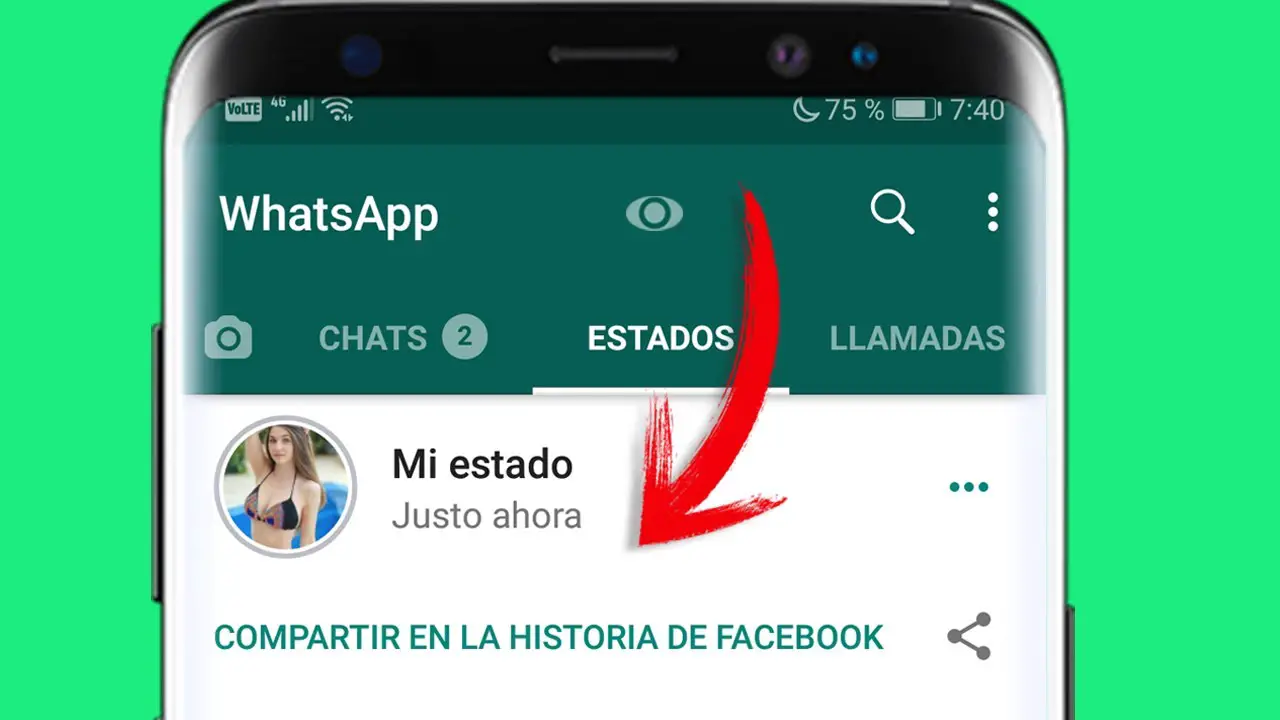 Cuando una persona tiene WhatsApp Plus puede ver estados ocultos? - Haras  Dadinco