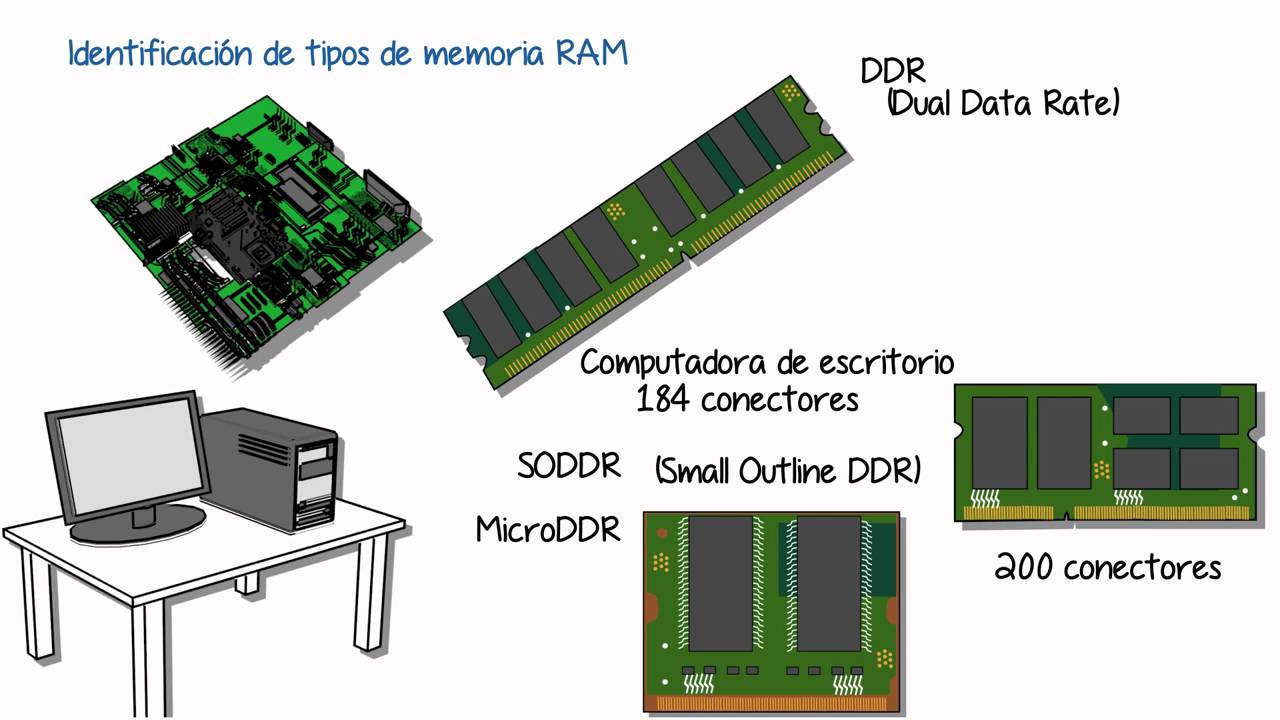 pellizco Celda de poder global Qué tipo de memoria RAM usan las PC? - Haras Dadinco