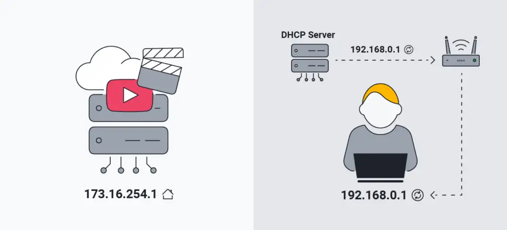 ¿Cuál es la diferencia entre tipo Dynamic y Static? - Haras Dadinco