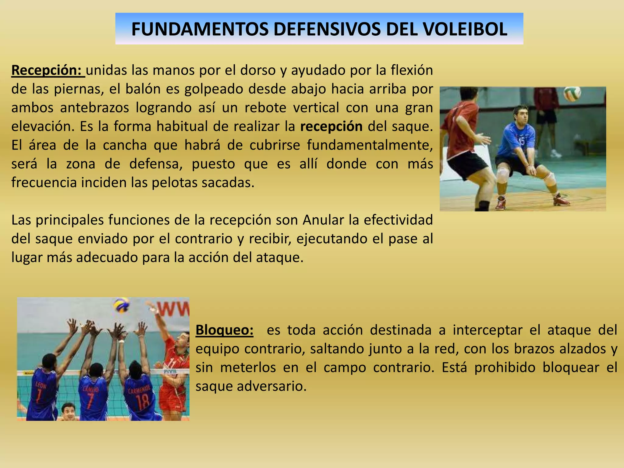 Cuáles son los fundamentos defensivos del voleibol? - Haras Dadinco