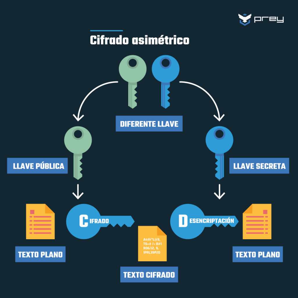  Qu Tipo De Cifrado Es AES Haras Dadinco